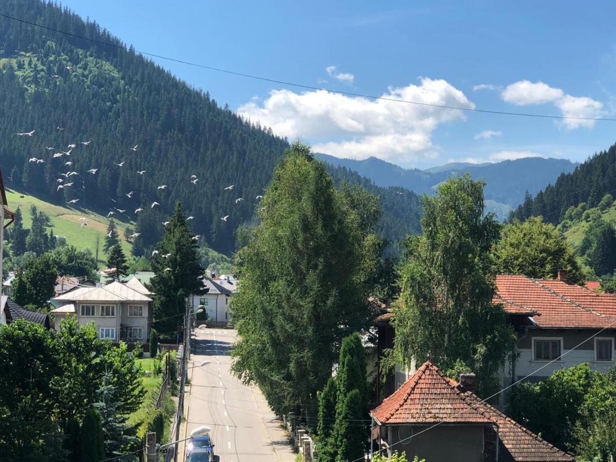 Bucovina View Apartment Câmpulung Moldovenesc Eksteriør billede
