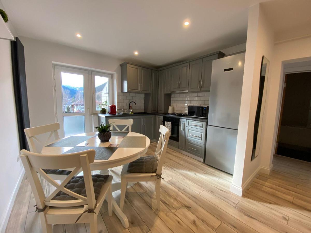 Bucovina View Apartment Câmpulung Moldovenesc Eksteriør billede